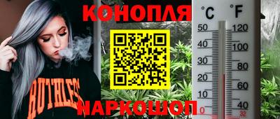 mdpv Донской