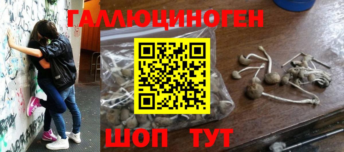 купить наркотики сайты  Псилоцибиновые грибы MAGIC MUSHROOMS  Галлюциногенные грибы мухоморы  Вход с VPN  Малгобек 